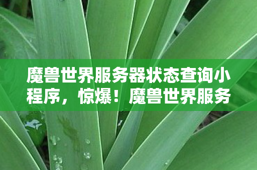 魔兽世界服务器状态查询小程序,惊爆!魔兽世界服务器状态查询竟藏3000万隐情,真吓一跳! 魔兽世界服务器状态查询小程序,惊爆!魔兽世界服务器状态查询竟藏3000万隐情,真吓一跳!