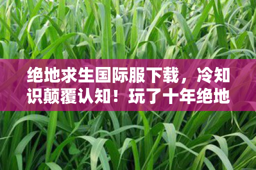 绝地求生国际服下载，冷知识颠覆认知！玩了十年绝地求生，这些真相让我目瞪口呆