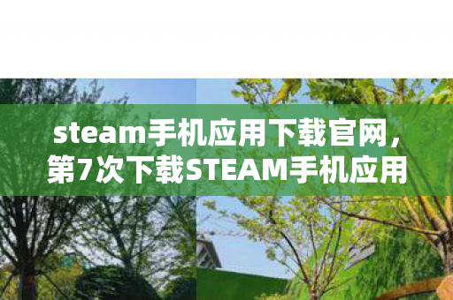 steam手机应用下载官网，第7次下载STEAM手机应用时，蹊跷弹窗让我后背发凉