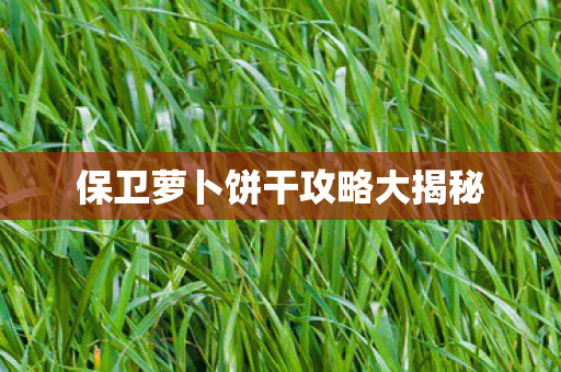 保卫萝卜饼干攻略大揭秘图片