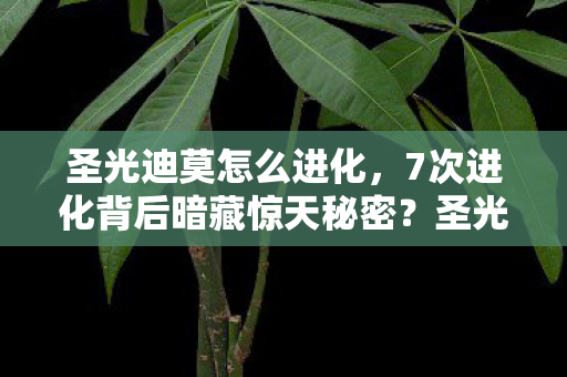 圣光迪莫怎么进化,7次进化背后暗藏惊天秘密?圣光迪莫竟藏着颠覆认知的真相! 圣光迪莫怎么进化,7次进化背后暗藏惊天秘密?圣光迪莫竟藏着颠覆认知的真相!