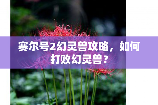 赛尔号2幻灵兽攻略图片