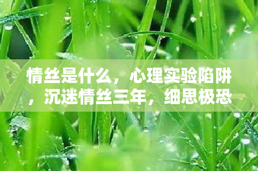 情丝是什么,心理实验陷阱,沉迷情丝三年,细思极恐的自我囚禁 情丝是什么,心理实验陷阱,沉迷情丝三年,细思极恐的自我囚禁