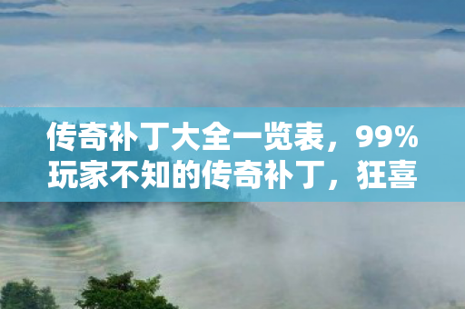 传奇补丁大全一览表，99%玩家不知的传奇补丁，狂喜背后，竟藏着99%人逃不脱的扎心真相