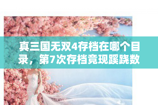 真三国无双4存档在哪个目录，第7次存档竟现蹊跷数据，背后真相让人后背发凉！