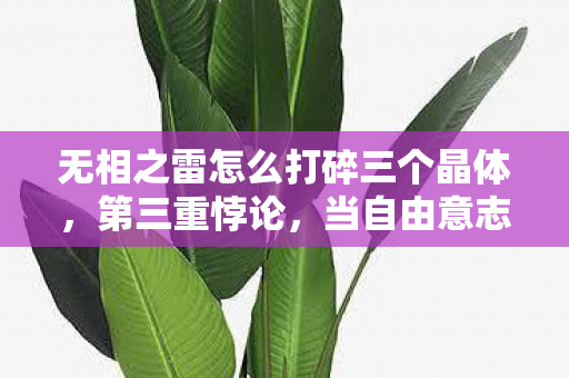 无相之雷怎么打碎三个晶体,第三重悖论,当自由意志撞碎雷暴,你的选择是命运还是幻觉? 无相之雷怎么打碎三个晶体,第三重悖论,当自由意志撞碎雷暴,你的选择是命运还是幻觉?