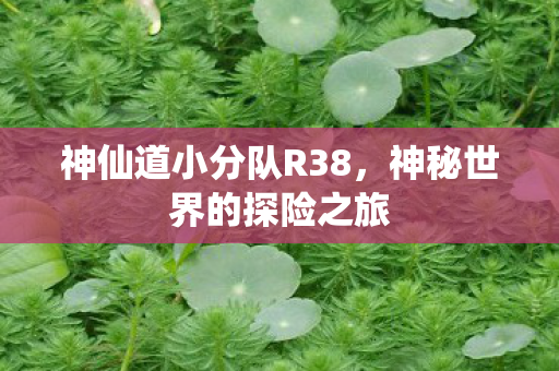神仙道小分队R38图片