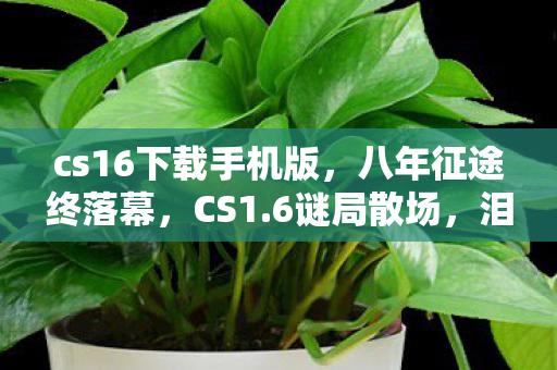 cs16下载手机版，八年征途终落幕，CS1.6谜局散场，泪目见证时光消逝
