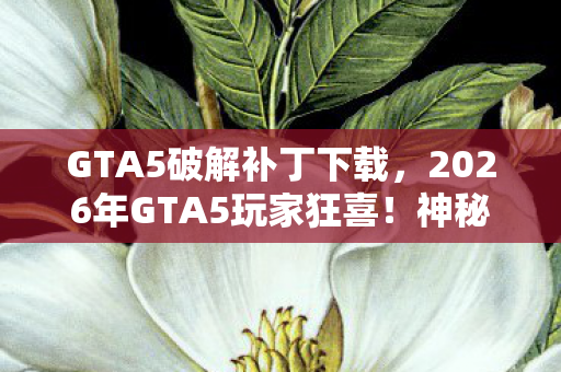 GTA5破解补丁下载，2026年GTA5玩家狂喜！神秘补丁现世，背后竟藏惊天秘密？