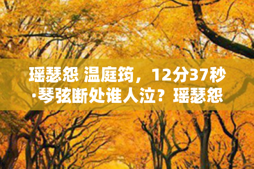 瑶瑟怨 温庭筠,12分37秒·琴弦断处谁人泣?瑶瑟怨,从指尖到永恒的数字挽歌 瑶瑟怨 温庭筠,12分37秒·琴弦断处谁人泣?瑶瑟怨,从指尖到永恒的数字挽歌