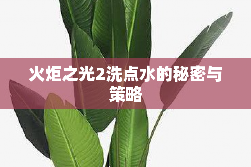 火炬之光2洗点水的秘密与策略图片