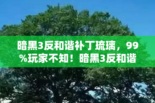 暗黑3反和谐补丁琉璃，99%玩家不知！暗黑3反和谐后竟藏着颠覆认知的终极玩法？