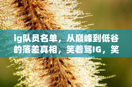 ig队员名单,从巅峰到低谷的落差真相,笑着骂IG,笑着笑着却哭了 ig队员名单,从巅峰到低谷的落差真相,笑着骂IG,笑着笑着却哭了