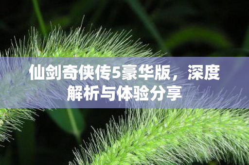 仙剑奇侠传5豪华版图片