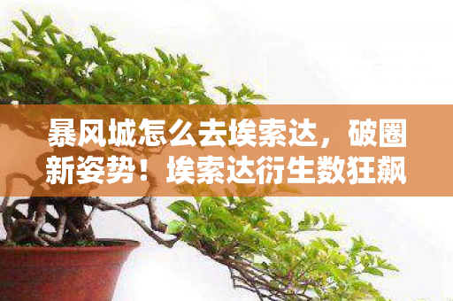 暴风城怎么去埃索达，破圈新姿势！埃索达衍生数狂飙，跨界联名意想不到！