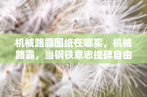 机械路霸图纸在哪买,机械路霸,当钢铁意志撞碎自由悖论,谁在操控谁的选择? 机械路霸图纸在哪买,机械路霸,当钢铁意志撞碎自由悖论,谁在操控谁的选择?