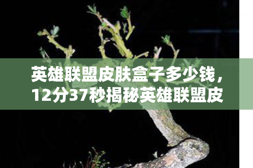 英雄联盟皮肤盒子多少钱,12分37秒揭秘英雄联盟皮肤盒子,从诞生到传奇,泪目历程全记录 英雄联盟皮肤盒子多少钱,12分37秒揭秘英雄联盟皮肤盒子,从诞生到传奇,泪目历程全记录