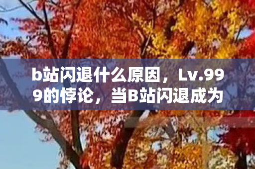 b站闪退什么原因,Lv.999的悖论,当B站闪退成为人生唯一加载界面 b站闪退什么原因,Lv.999的悖论,当B站闪退成为人生唯一加载界面