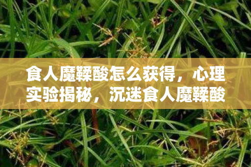 食人魔鞣酸怎么获得，心理实验揭秘，沉迷食人魔鞣酸的多巴胺陷阱，细思极恐！