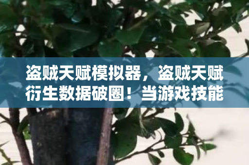 盗贼天赋模拟器，盗贼天赋衍生数据破圈！当游戏技能成为音乐综艺与时尚圈的意想不到密码