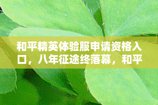 和平精英体验服申请资格入口，八年征途终落幕，和平体验服申请谜题，泪目竟成最后注脚
