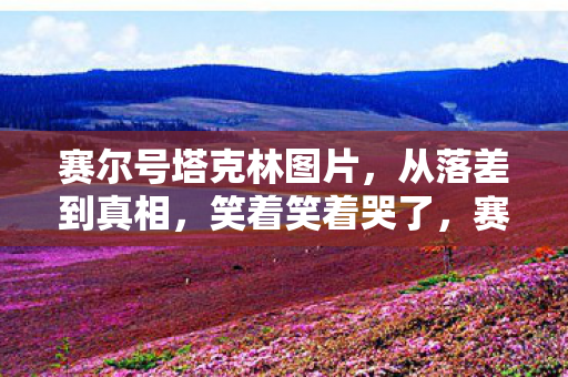 赛尔号塔克林图片，从落差到真相，笑着笑着哭了，赛尔号塔克林竟成情怀坟场？