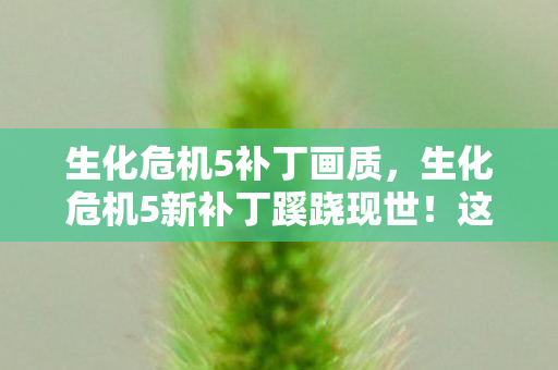 生化危机5补丁画质，生化危机5新补丁蹊跷现世！这版本迭代怎不让人惊呼绝了！