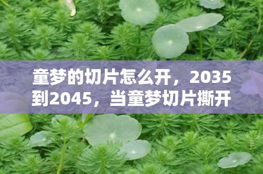 童梦的切片怎么开,2035到2045,当童梦切片撕开十年光阴,你敢直面这终极真相吗? 童梦的切片怎么开,2035到2045,当童梦切片撕开十年光阴,你敢直面这终极真相吗?