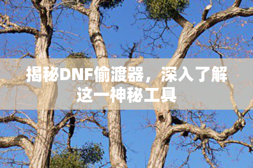 深入了解这一神秘工具图片