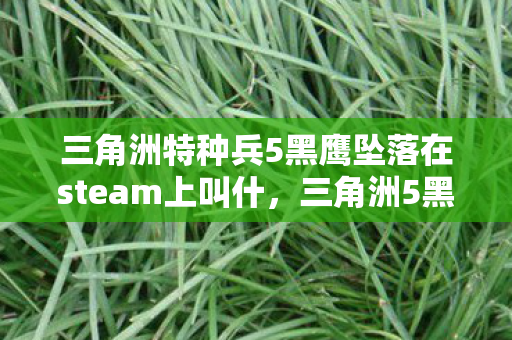 三角洲特种兵5黑鹰坠落在steam上叫什，三角洲5黑鹰坠落，3大氪金猫腻+5个伪创新，这波操作让我血压飙升！