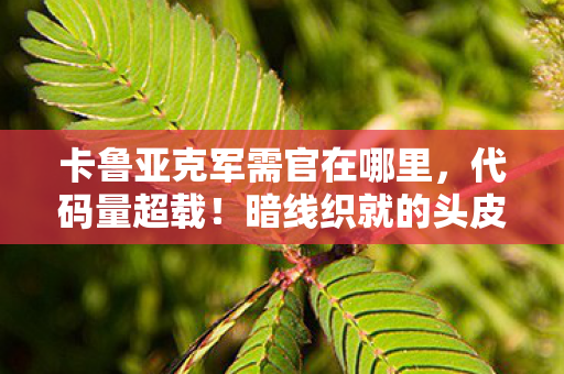 卡鲁亚克军需官在哪里,代码量超载!暗线织就的头皮发麻,卡鲁亚克军需官的赛博暴动 卡鲁亚克军需官在哪里,代码量超载!暗线织就的头皮发麻,卡鲁亚克军需官的赛博暴动