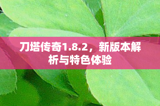 新版本解析与特色体验图片
