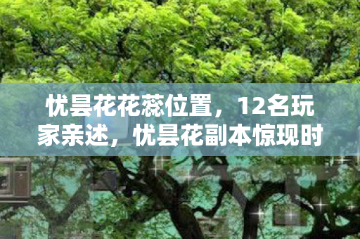 忧昙花花蕊位置，12名玩家亲述，忧昙花副本惊现时间悖论？萌新到大神集体绷不住了！