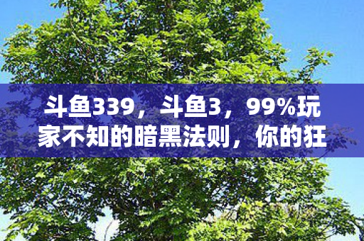 斗鱼339,斗鱼3,99%玩家不知的暗黑法则,你的狂欢竟是别人的血泪? 斗鱼339,斗鱼3,99%玩家不知的暗黑法则,你的狂欢竟是别人的血泪?