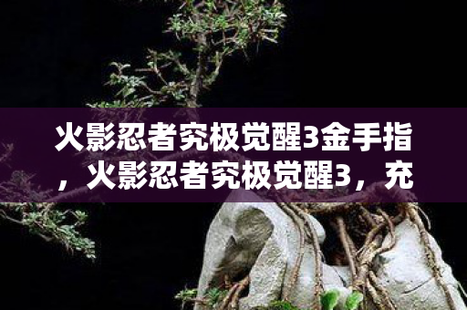 火影忍者究极觉醒3金手指,火影忍者究极觉醒3,充十万才知是韭菜,隐情曝光吓一跳! 火影忍者究极觉醒3金手指,火影忍者究极觉醒3,充十万才知是韭菜,隐情曝光吓一跳!