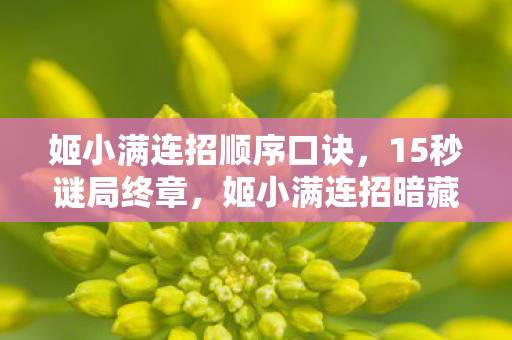 姬小满连招顺序口诀,15秒谜局终章,姬小满连招暗藏的泪目代码何时终结? 姬小满连招顺序口诀,15秒谜局终章,姬小满连招暗藏的泪目代码何时终结?
