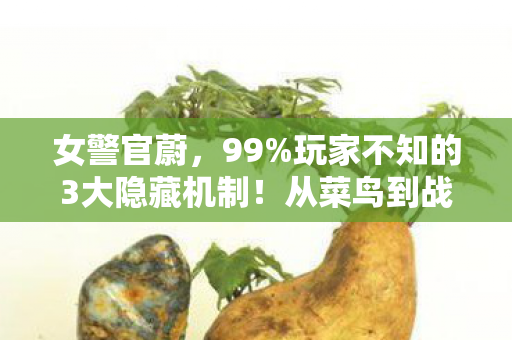 女警官蔚，99%玩家不知的3大隐藏机制！从菜鸟到战神竟靠这招？
