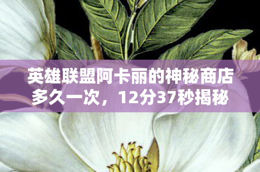 英雄联盟阿卡丽的神秘商店多久一次,12分37秒揭秘阿卡丽商店的千年谜局,当代码遇见泪目的时光 英雄联盟阿卡丽的神秘商店多久一次,12分37秒揭秘阿卡丽商店的千年谜局,当代码遇见泪目的时光