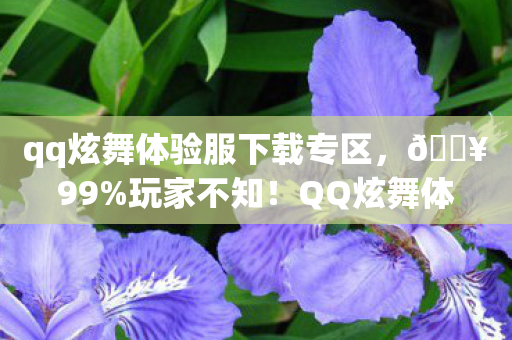 qq炫舞体验服下载专区,🔥99%玩家不知!QQ炫舞体验服下载暗藏3大惊喜彩蛋? qq炫舞体验服下载专区,🔥99%玩家不知!QQ炫舞体验服下载暗藏3大惊喜彩蛋?