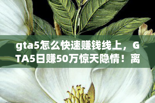 gta5怎么快速赚钱线上,GTA5日赚50万惊天隐情!离职老兵拍桌怒吼,这方案早该枪毙! gta5怎么快速赚钱线上,GTA5日赚50万惊天隐情!离职老兵拍桌怒吼,这方案早该枪毙!