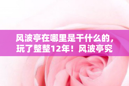 风波亭在哪里是干什么的,玩了整整12年!风波亭究竟藏在哪?3个答案让我陷入终极纠结 风波亭在哪里是干什么的,玩了整整12年!风波亭究竟藏在哪?3个答案让我陷入终极纠结