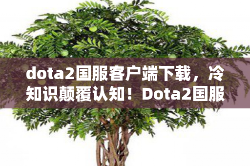 dota2国服客户端下载，冷知识颠覆认知！Dota2国服下载后竟藏着目瞪口呆的炸弹设计