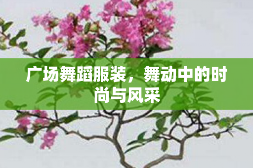 舞动中的时尚与风采图片