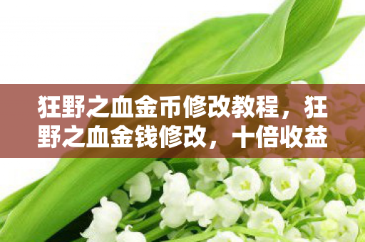 狂野之血金币修改教程，狂野之血金钱修改，十倍收益背后疑云密布，玩家心寒谁之过？