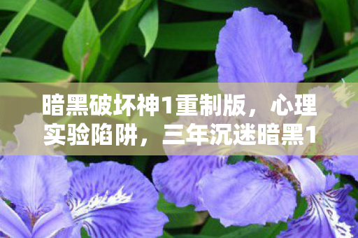 暗黑破坏神1重制版，心理实验陷阱，三年沉迷暗黑1，细思极恐的自我囚禁