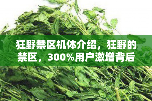 狂野禁区机体介绍，狂野的禁区，300%用户激增背后，游戏业正被这3个数据撕开万亿新蓝海