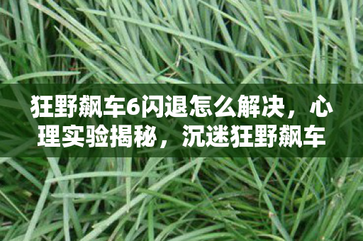 狂野飙车6闪退怎么解决，心理实验揭秘，沉迷狂野飙车6闪退，细思极恐的自我囚禁