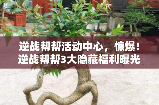 逆战帮帮活动中心,惊爆!逆战帮帮3大隐藏福利曝光,99%玩家竟不知情? 逆战帮帮活动中心,惊爆!逆战帮帮3大隐藏福利曝光,99%玩家竟不知情?