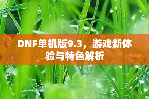 游戏新体验与特色解析图片