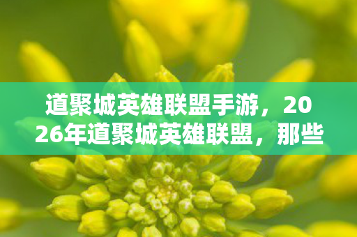道聚城英雄联盟手游，2026年道聚城英雄联盟，那些别走的伏笔，让我鼻子一酸